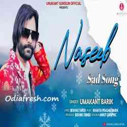 Naseeb